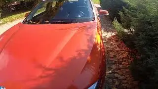 Where is the VIN number of my BMW X1 F48 ( 2015 – now ) - All VIN Number Locations