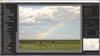 Making global image adjustments with NIK Color Efex Pro 3.0