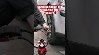 Why check your tire pressure? And how often?! 