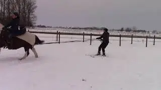 På ski efter hest