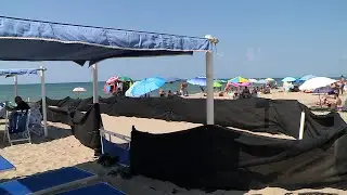 Anche Torre del Lago ha il suo nido di Caretta caretta