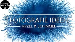 Fotografie Ideen mit Myzel und Schimmel | Außergewöhnliche Makrofotografie