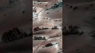 Деревья на марсе