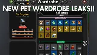 RotMG PET WARDROBE LEAKS!!! New pet skins and more!!