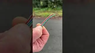 Network cable