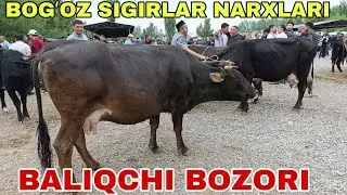 BALIQCHI TUMANI BALIQCHI CHORVA MOL BOZORI BOGOZ QISIR SIGIRLAR NARXLARI