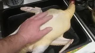 Индоутки. Максимальная прибыль, при оптимальном сроке забоя.