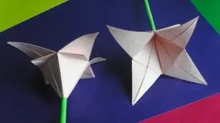 Оригами цветок лилия. Как сделать оригами цветы из бумаги своими руками // origami flower lily