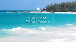 Behind The Scenes - 2022 Summer Collection | Patricia Nash Designs