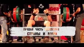 Видеоролик "ЗОЛОТОЙ ТИГР - XII"