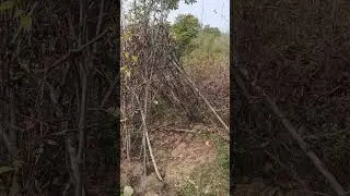 Jardin Raziel 3