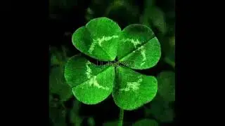 🍀Trebol Pa la Suerte🍀 Afro House (Dj Jackson)