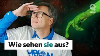 Wie können wir echte Außerirdische erkennen? | Quarks Dimension Ralph