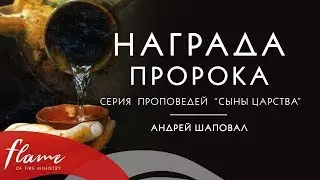 Награда Пророка. Сыны Царства #8. Андрей Шаповал