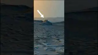 #Curiosity