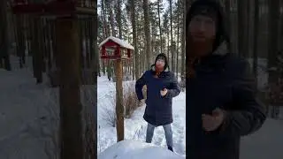 Помощь птицам в мороз