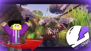 The Best Moments from Recent Metacraft History! #minecraft