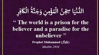 Islamic Speech English: Who is Momin and Who is Kafir?