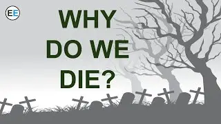 Why do we die? | EvolutionExamples