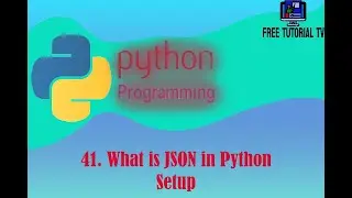 41  What is JSON in Python?