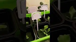 НЕ БЛАГОДАРИТЕ! Всегда свежий 