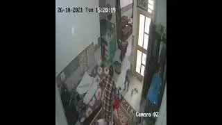 monkey attack  