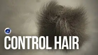 Cinema 4D - Working with Hair | VFXHUT