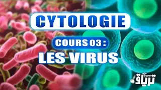 #CYTOLOGIE - 1ère année : les VIRUS