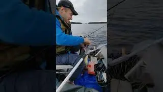 Четвертая щука ,Николай 👍