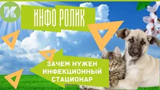 Зачем нужен инфекционный стационар