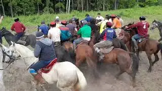 бузкаши дар Москва район раменский
