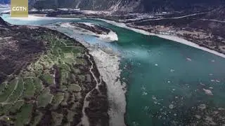 Breathtaking spring scenery boosts tourism in Xizang