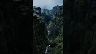 imagine being a bird in Iceland 🐦