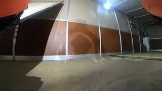 Bear vs. Door