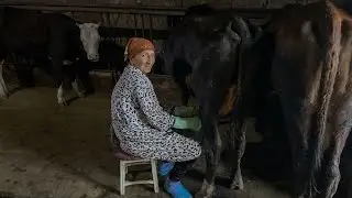 Village Life in Armenia. Like the Black Sea / 576