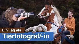 Ein Tag als Tierfotografin