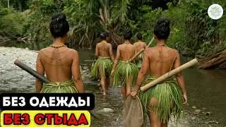 HIDDEN tribes of the Amazon live as if in the STONE AGE — what they do will shock you!