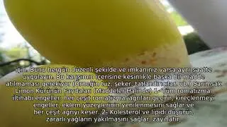 Limonlu Sarımsaklı Su Yılda 1 Defa Uygulanır