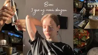 Vlog: 3 дня из моей жизни| пробую новый тональник,классная кофейня в Новосибирске,стоматолог|