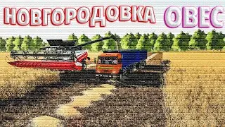 🔴✅ FS19/СХПК Новгородовка/Уборочная#7