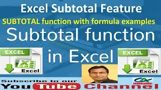 Excel Subtotal Feature and the SUBTOTAL function with formula examples