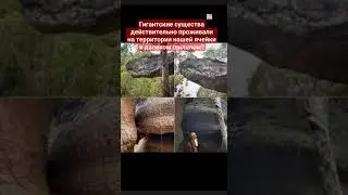21 января 2024 г.