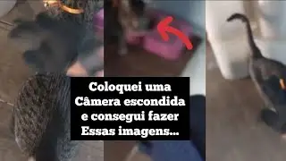 Ela não percebeu que estava sendo gravada...