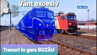 Trenuri in gara BUZAU / Vant Excesiv