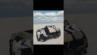 НИВА ИЛИ КРУЗАК