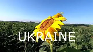 Шлях до яру