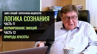 Логика сознания. Святослав Медведев. Ч. 11-12