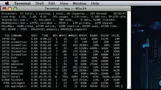 Terminal Tip: top