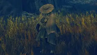ELDEN RING || Дейн, Сухой Лист
