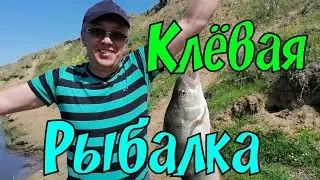 Спонтанно Уехали на Рыбалку Байкал 